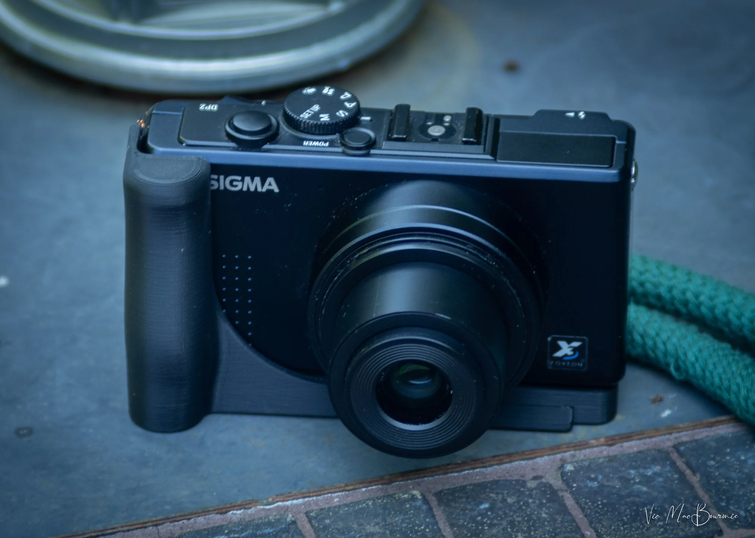 Getting a grip on the Sigma DP series of cameras — FERNS & FEATHERS